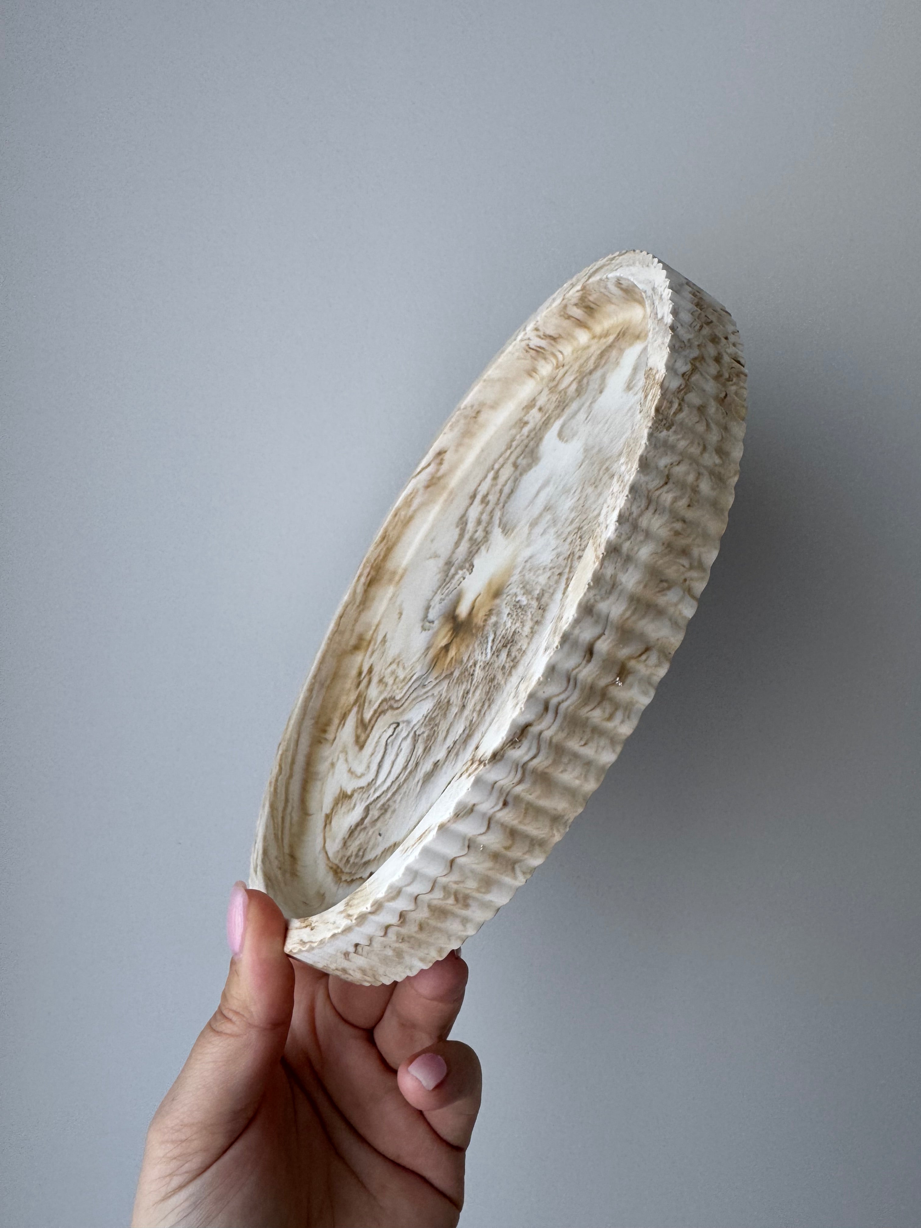 The Florence Tray - Beige Marble