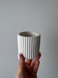 The Ridge Canister- Ivory
